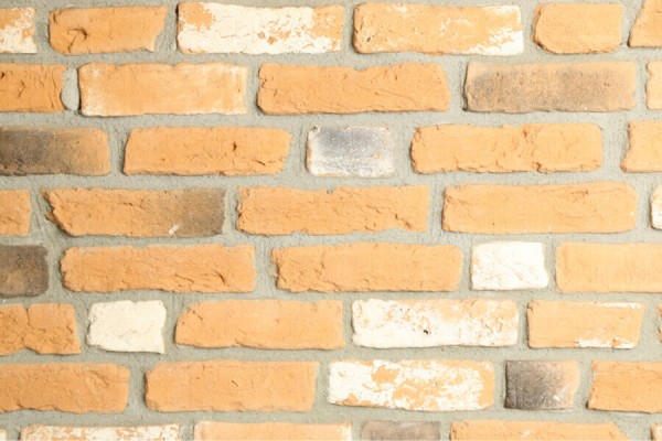 Light Brown TSB 11003